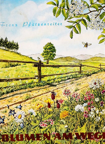 Blumen wege - am,