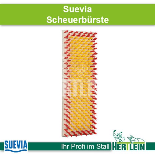 Suevia scheuerbürste 90x30 - suevia,