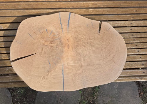 Tischplatte aus baumscheibe - tischplatte,