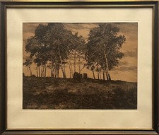 Radierung Gerhard Wedepohl Landschaft mit Birken im Wind 1918 Jugendstil