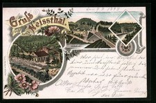 Lithographie Rosenthal, Gasthaus Neissthal aus der Vogelschau 1898 