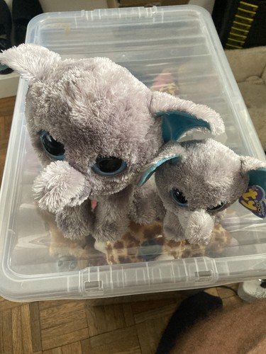 Seltene beanie boos - ty,