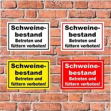 Schild Schweinebestand -