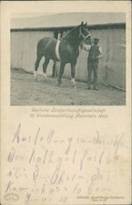 Ansichtskarte Deutsche