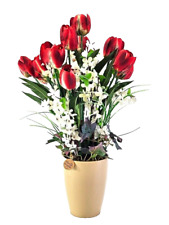 Casa-Poador Topfblume Tulpen