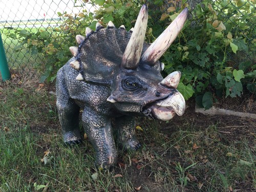 Triceratops xxl dreihorn - triceratops,
