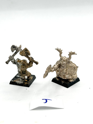 Dwarf thane troll slayer - dwarf, +