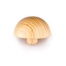 Holz Halbkugel Kiefer