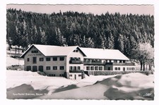 Foto Postkarte, AK, Sport