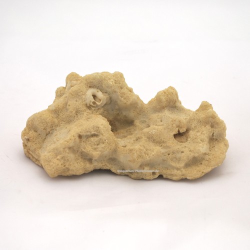 Felsen stein 5 x5 - x, x5,5