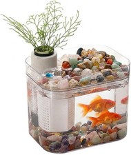 Mini Tisch Aquarium +