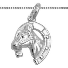 Pferde Glücks Hufeisen