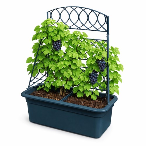 Blumentopf mit rankhilfe - mit,