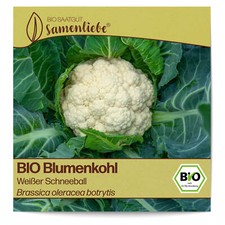 BIO Blumenkohl Samen Sorte