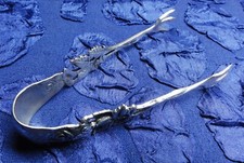 Hildesheimer Rose: 1