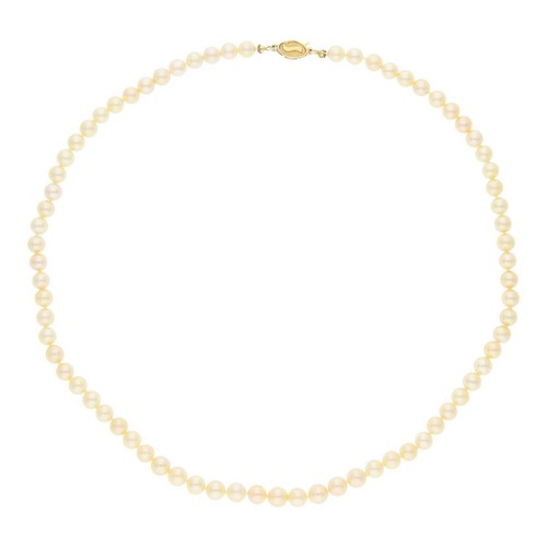 Perlenkette akoya gold - perlenkette,
