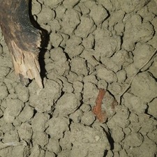 Toskanischer Natur Lehmboden für Mini-Ökosystem | Flaschen-Garten 1,5 kg