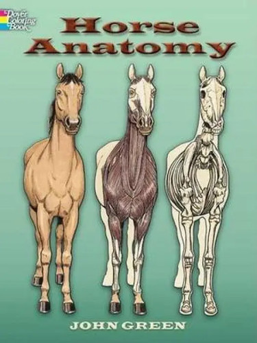 Horse anatomy coloring book - anatomy, |
