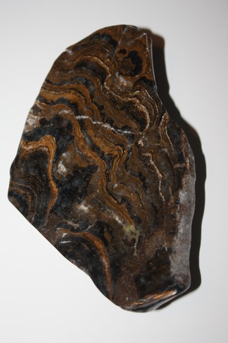 Stromatolith bolivien 63 a - 63,