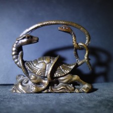 Drachen-Schildkröte