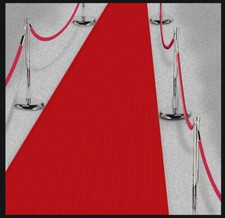 Roter Teppich 15mx1m aus Vlies Party Hollywood Hochzeit Silvester Deko Einweg