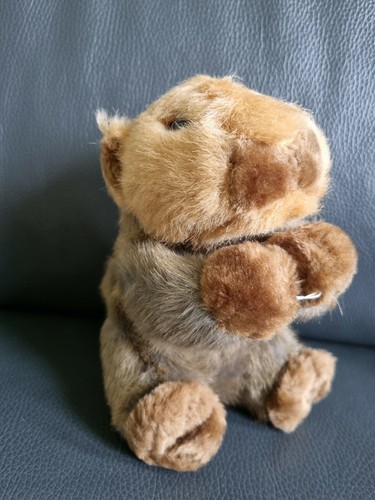 Kuscheltier stofftier - kuscheltier,
