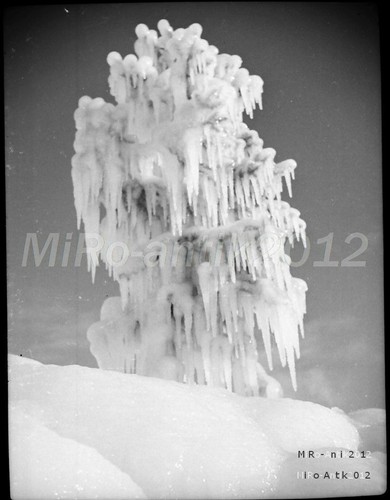 Foto negativ wk2 norwegen - foto-negativ,, wk2,