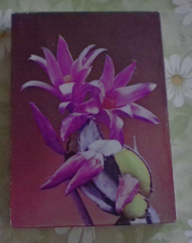 Ddr schreibpapier briefpapier - ,