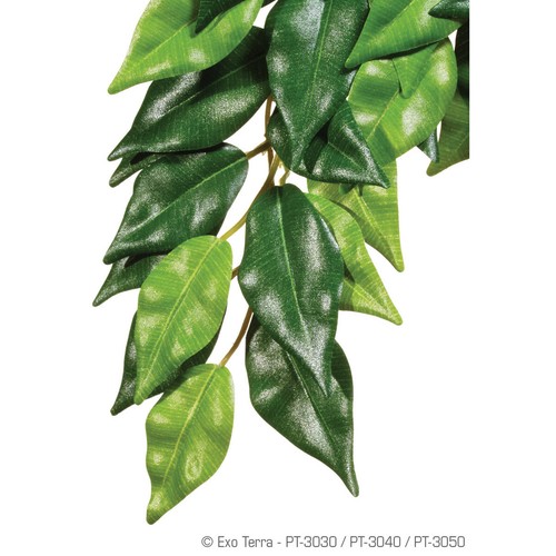 Exo terra terrarien - exo,