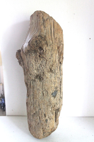 Schwemmholz treibholz skulptur - treibholz,
