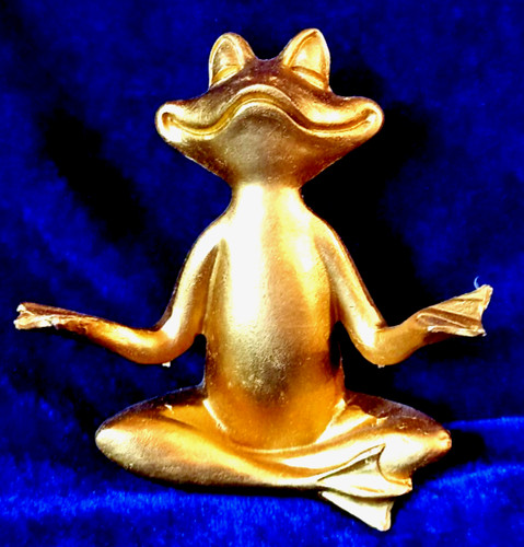 Yoga frosch meditation - yoga,