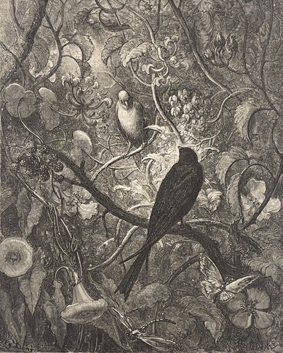 Philomèle und progné gustave - philomèle,