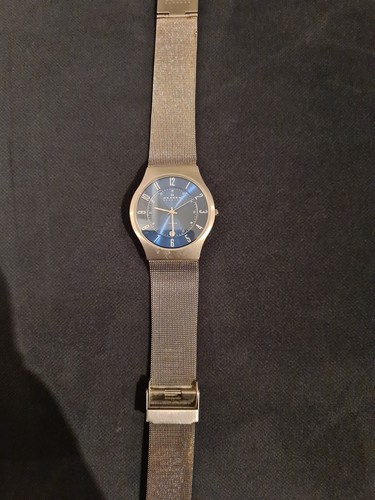 Skagen titanium herrenuhr - titanium,