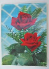 ~1970 Rose Rosen Blumen 3-D-Postkarte Postcard (Motivkarte Pflanzen & Botanik)