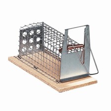 LUNA Drahtkastenfalle mit 1 Einlauf, Maße: 13x5x5cm mit 1 Einlauf