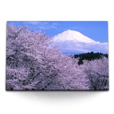 120x80cm Wandbild auf Leinwand