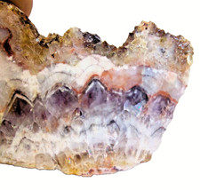 AMethyst als Anschliff poliert von  Schönfeld bei Annaberg  Erzgebirge  Sachsen