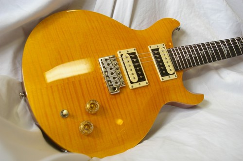 Paul reed smith se - paul,
