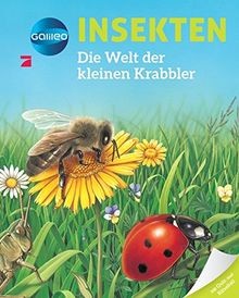 Galileo wissen insekten - galileo, wissen: