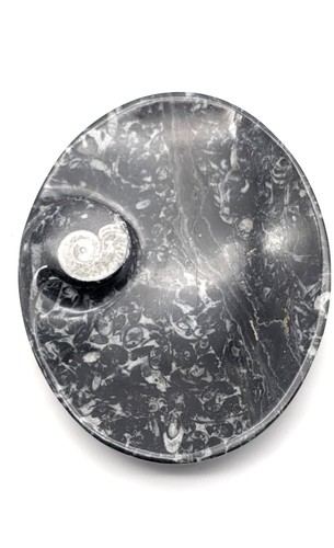 Sm0086 orthoceras seifenschale - sm0086,