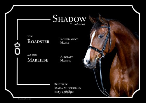 Individuelles stallschild - individuelles,