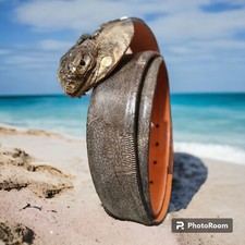 Leguan Ledergürtel 🦎