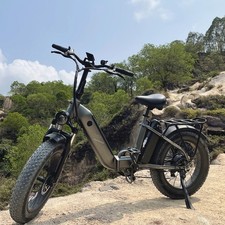 FAFREES FF20 POLAR 24Ah e Bike