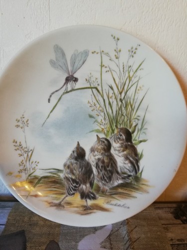 Sammelteller bachstelzen - sammelteller, "bachstelzen"