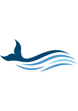 5x car sticker whale sticker