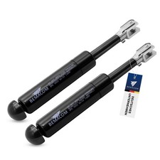 2x Fritzmeier Gasdruckfeder