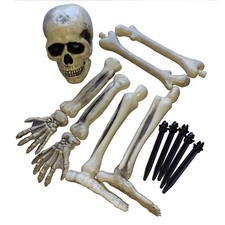 12 teiliges Skelett