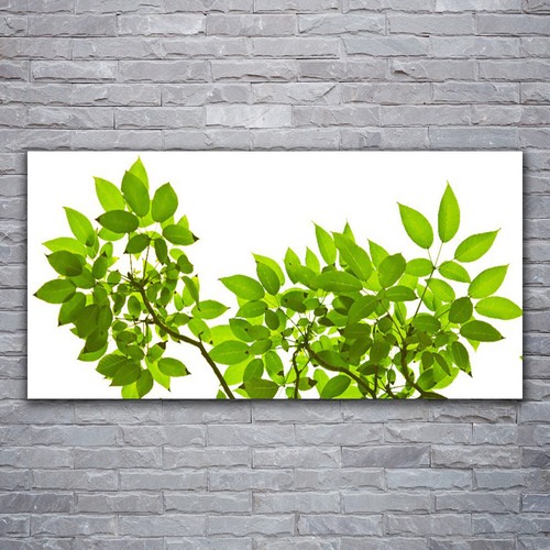 Acrylglasbilder wandbilder - acrylglasbilder,