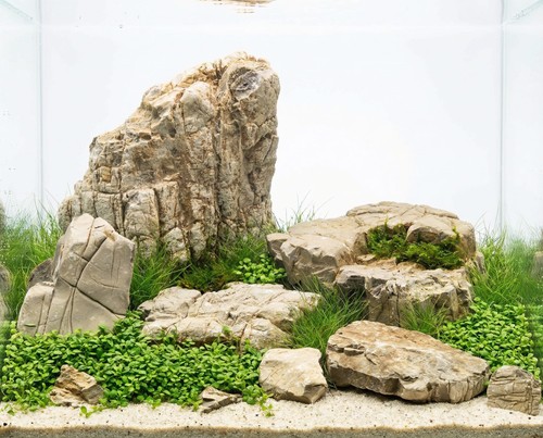 Mizu stone aquarium terrarium - mizu,