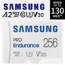 256GB Samsung Pro Endurance